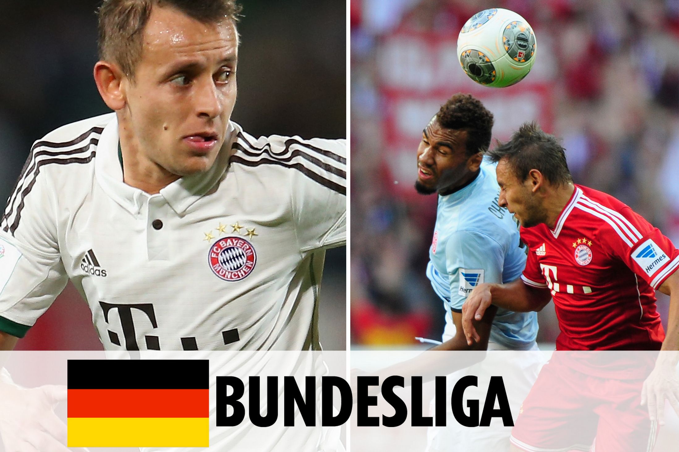 球队才真正 球队才真正